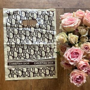 Christian Dior Logo Print plastic Bag